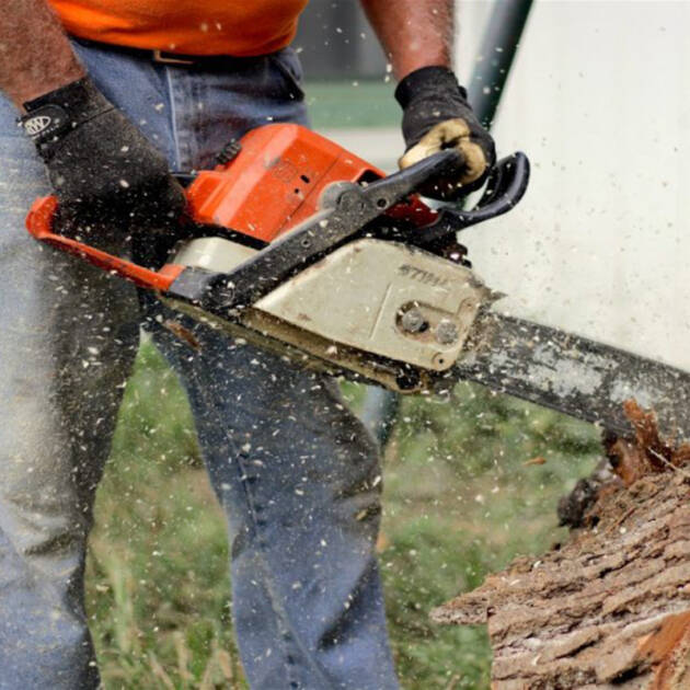 Corso di aggiornamento addetto all'utilizzo di motosega e decespugliatore